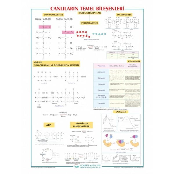 Canlıların Temel Bileşenleri Levhası 70x100 cm