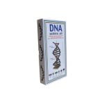 DNA Modeli Yapalım Deney Seti