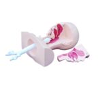 Emilim (Suction) Eğitim Modeli
