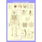 İskelet Sistemi Levhası 70x100 cm