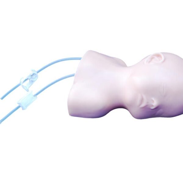 Neonate Scalp İntravenöz (IV) Enjeksiyon Uygulama Modeli
