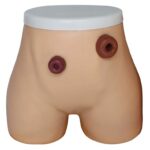 Ostomi Hemşireliği Bakım ve Uygulama Modeli