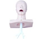 Emilim (Suction) Eğitim Modeli - Görsel 2