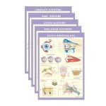 Anatomi Levhaları Seti 4 Adet 70x100 cm