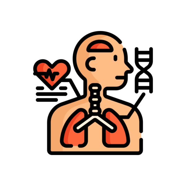 anatomik