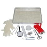 Diseksiyon Eğitim Seti 20 Parça