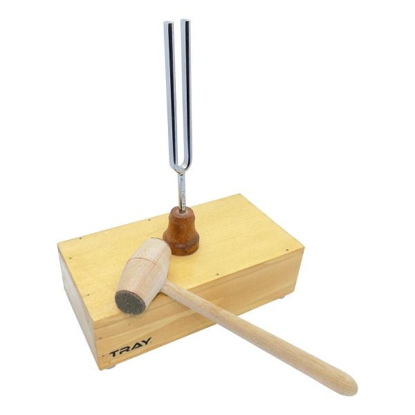 Diyapozon 320 Hz Tokmağı ile