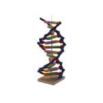 DNA Modeli Yapalım Deney Seti - Görsel 3