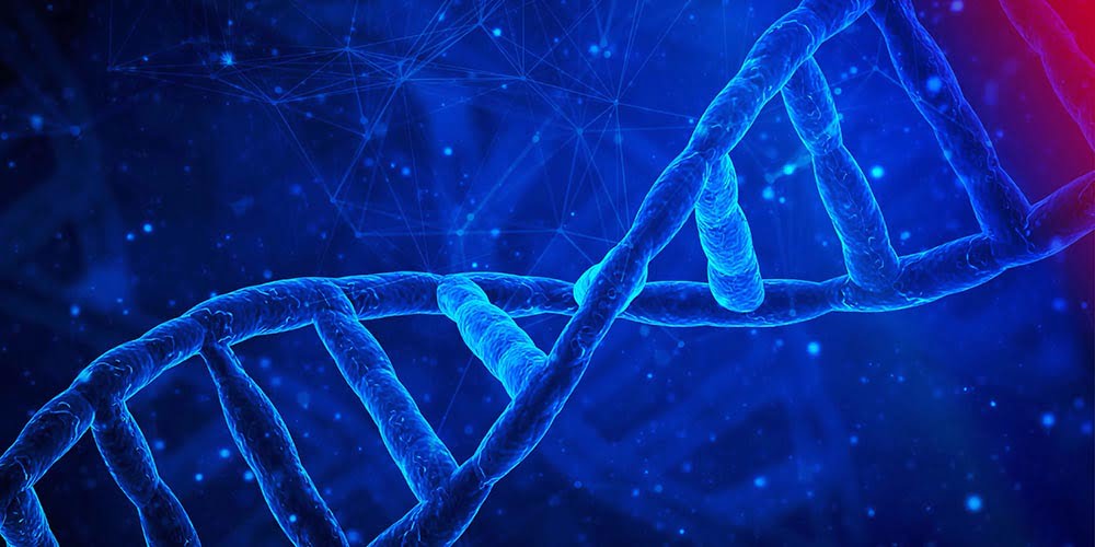 DNA' nın Omurgasını Ne Oluşturuyor? 1 dna sarmali