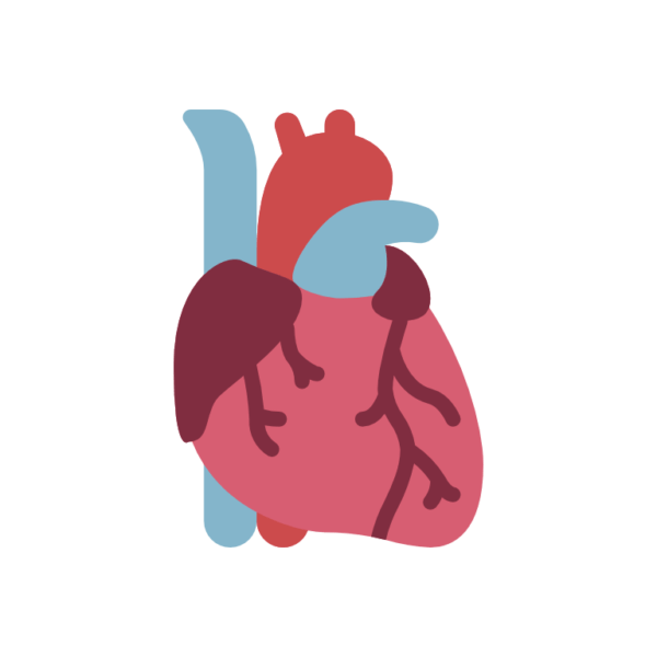 heart