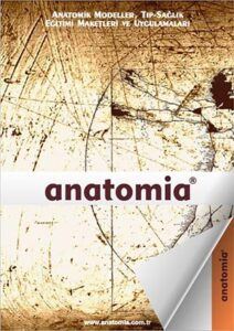 katalog kap anatomia