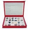 Kayaç ve Mineral Takımı 24 Parça
