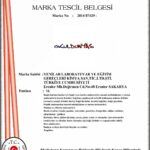 marka okuldunyasi