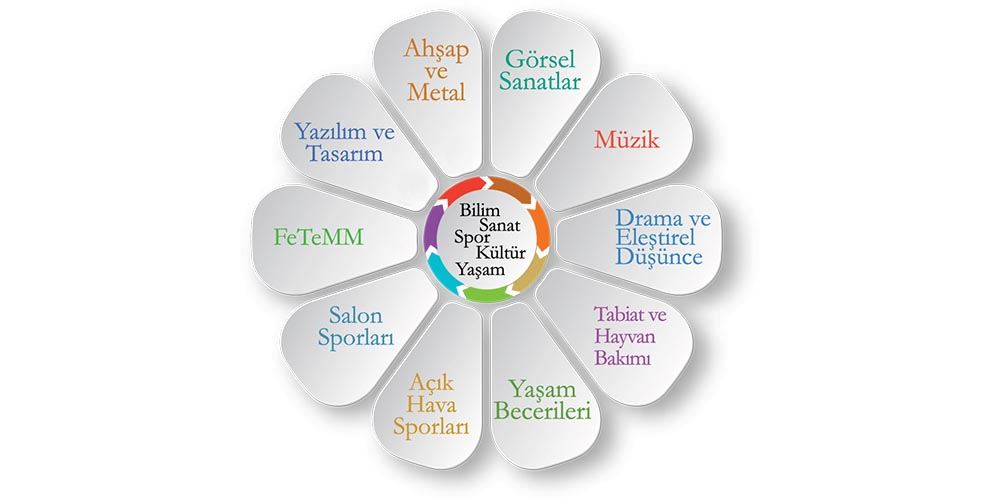 tba nedir blog