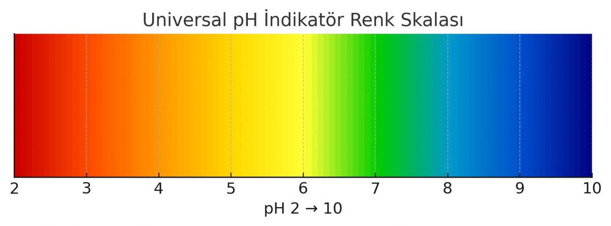 Universal İndikatör Çözeltisi pH2-10 50 ml - Görsel 2